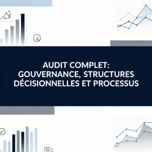 Audit Complet: Gouvernance, Structures Décisionnelles et Processus